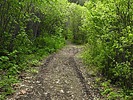 photo thumbnail #11