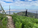 photo thumbnail #9