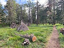 photo thumbnail #6