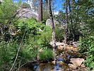 photo thumbnail #13