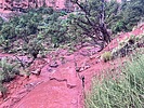 photo thumbnail #10