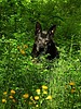 photo thumbnail #3