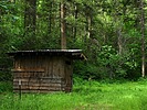 photo thumbnail #7
