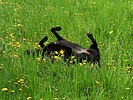 photo thumbnail #8
