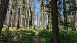 photo thumbnail #7