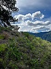 photo thumbnail #9