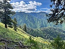 photo thumbnail #6