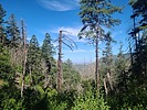 photo thumbnail #7