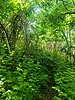 photo thumbnail #10
