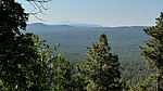 2024-06-15 :2: Buck Mountain L.O. CNF 7571 :: chumley