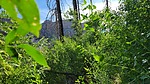 photo thumbnail #3