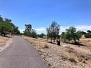 photo thumbnail #4