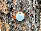 photo thumbnail #13