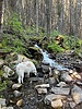 photo thumbnail #4
