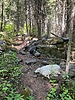 photo thumbnail #11