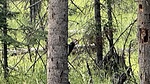 photo thumbnail #7