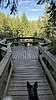 photo thumbnail #12