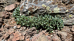 2024-06-29 :3: Fremont and Weatherford Canyon Recon :: chumley
