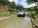 photo thumbnail #12