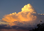 photo thumbnail #15