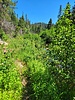 photo thumbnail #11