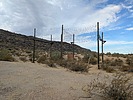 photo thumbnail #5