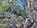 photo thumbnail #13