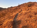 photo thumbnail #4