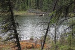 photo thumbnail #7
