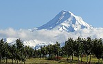 2024-05-20 :2: Multnomah & Wahkeena Falls Loop Trail :: outdoor_lover