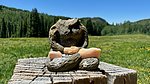photo thumbnail #4