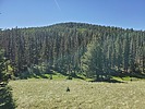 photo thumbnail #12
