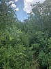 photo thumbnail #12