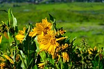 photo thumbnail #10