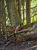 photo thumbnail #5