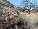 photo thumbnail #7