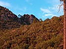 photo thumbnail #8