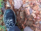 photo thumbnail #13