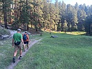 photo thumbnail #3
