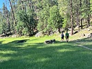 photo thumbnail #6