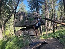 photo thumbnail #4