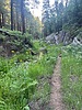 photo thumbnail #9