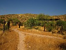 photo thumbnail #15