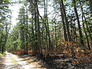 photo thumbnail #2