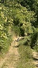 2024-07-15 :2: StormKing Parkway Trail :: LindaAnn