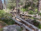 photo thumbnail #10