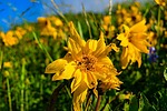 photo thumbnail #14