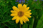 photo thumbnail #9