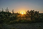 photo thumbnail #1