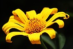 photo thumbnail #14
